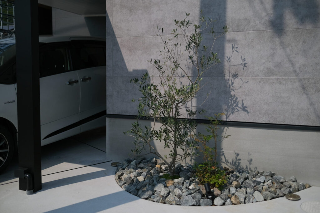 外構　植栽